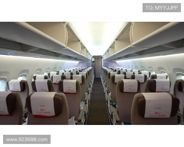 飞机客舱侧壁板的吸音性能优化